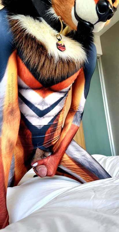 Pack de naughtywoofs +4 Videos